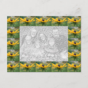 Black Eyed Susan Flowers Foto Briefkaart