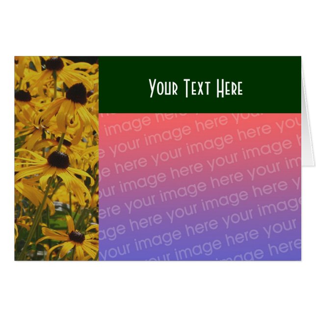 Black Eyed Susan Flowers Photo Card (Voorkant Horizontaal)