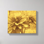 Black Eyed Susan Flowers Sepia Aged  Kijk Canvas Afdruk (Voorkant)