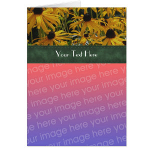 Black Eyed Susan Flowers Your Photo Card