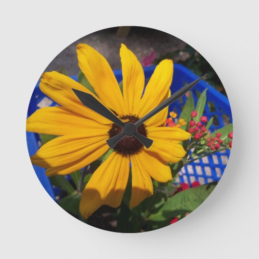 Black eyed-Susan front en center Ronde Klok (Voorkant)