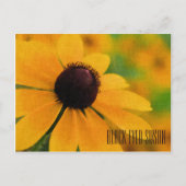 Black Eyed Susan Horizontal Briefkaart (Voorkant)