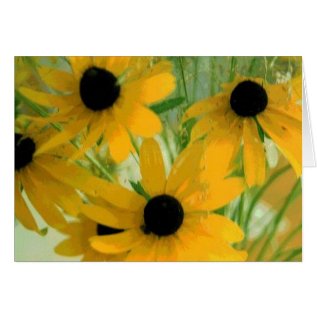Black Eyed Susan Kaart (Voorkant Horizontaal)