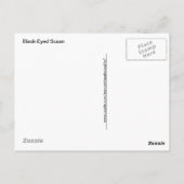Black-Eyed Susan met een Teardrop Briefkaart (Achterkant)