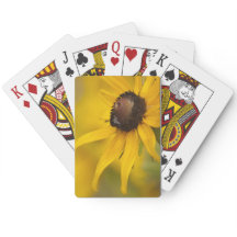 Black-Eyed Susan met een Teardrop