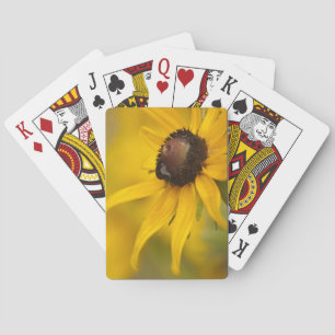 Black-Eyed Susan met een Teardrop Pokerkaarten