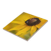 Black-Eyed Susan met een Teardrop Tegeltje (Zijkant)