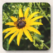 Black Eyed Susan met Wesp Bier Onderzetter (Voorkant)