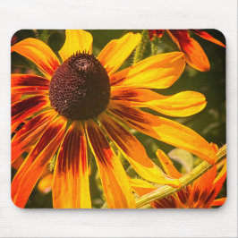 "Black-Eyed Susan" Mousepad Muismat