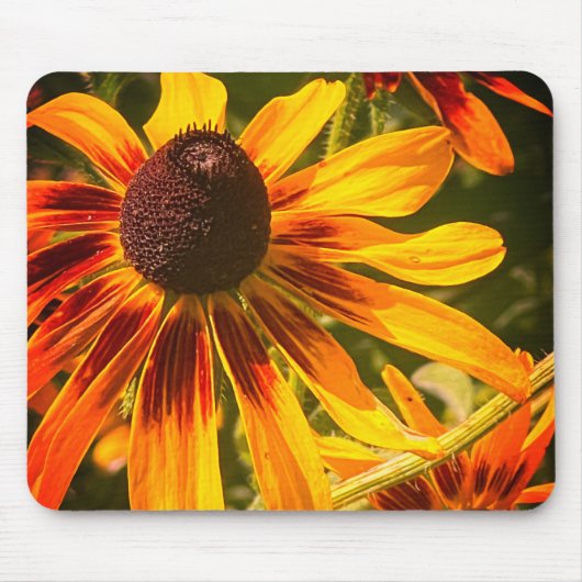 "Black-Eyed Susan" Mousepad Muismat (Voorkant)