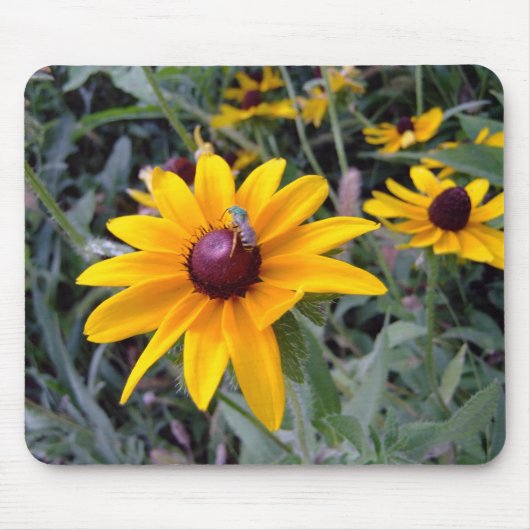 Black-Eyed Susan Mousepad Muismat (Voorkant)