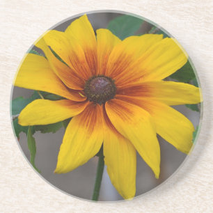 Black Eyed Susan Onderzetter