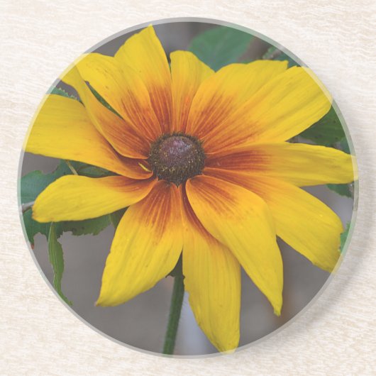 Black Eyed Susan Onderzetter (Voorkant)