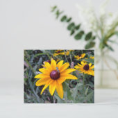 Black-Eyed Susan Postcard Briefkaart (Staand voorkant)