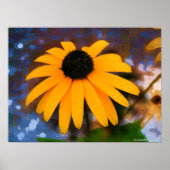 Black Eyed Susan Poster (Voorkant)