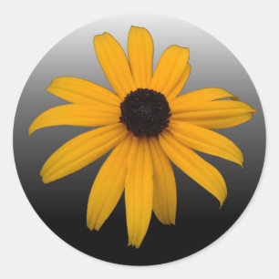 Black Eyed Susan Ronde Sticker