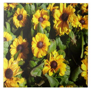 Black Eyed Susan Tegel Tegeltje