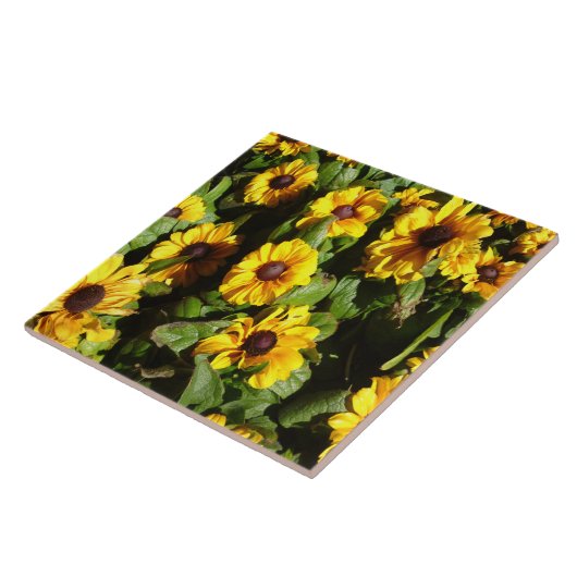 Black Eyed Susan Tegel Tegeltje (Zijkant)