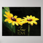 Black Eyed Susan True Love Fine Art Poster (Voorkant)
