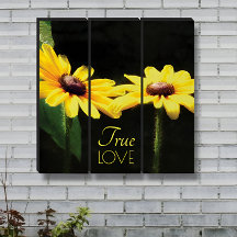 Black Eyed Susan True Love Photography
