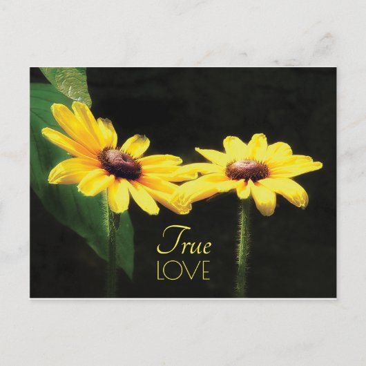 Black Eyed Susan True Love Quote Briefkaart (Voorkant)