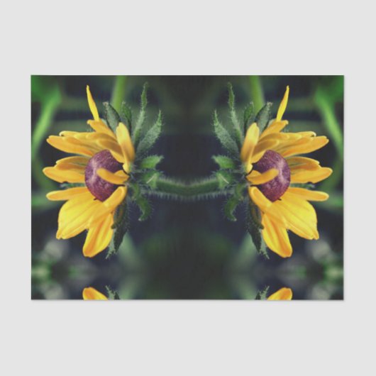 Black Eyed Susan Unfolding Abstract ontkoppeling Tissuepapier (Voorkant)