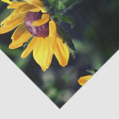 Black Eyed Susan Unfolding Abstract ontkoppeling Tissuepapier (Detail)