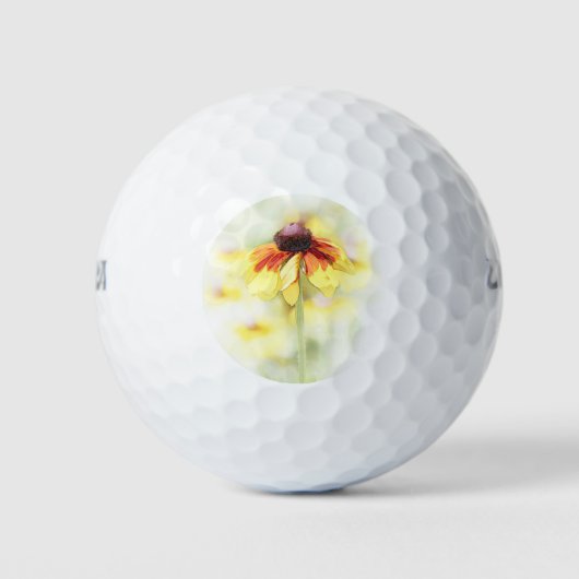 Black Eyed Susan Vignette Golfballen (Voorkant)