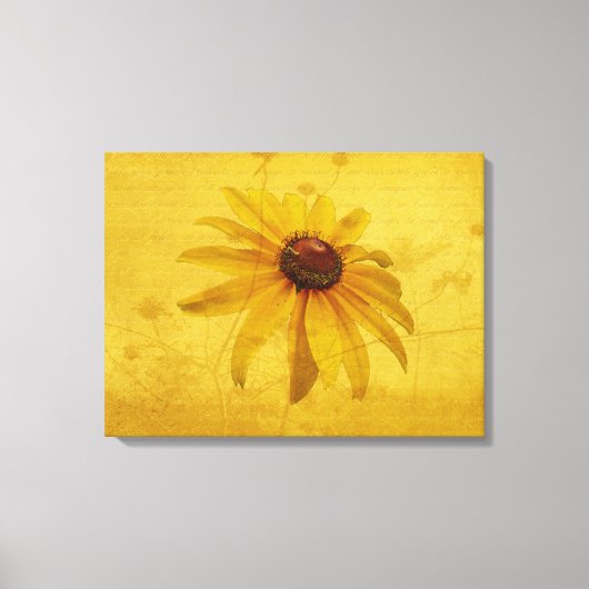 Black-Eyed Susan Wildflower Canvas Afdruk (Voorkant)