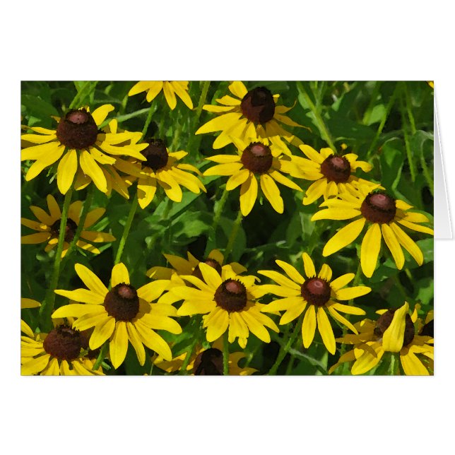 Black-Eyed Susans Art (waterverf) (Voorkant Horizontaal)