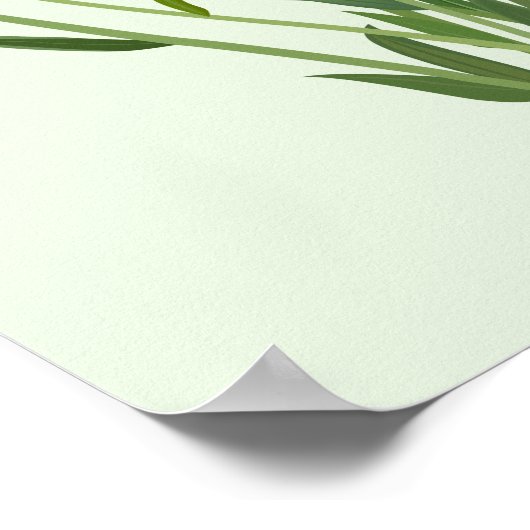 Black Eyed Susans Flower Fine Art Poster (Hoek)