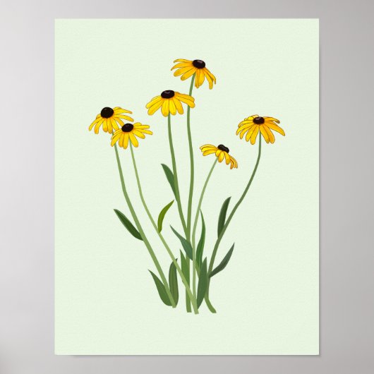 Black Eyed Susans Flower Fine Art Poster (Voorkant)