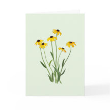 Black Eyed Susans Flower