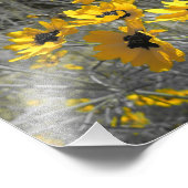 Black Eyed Susans Foto Afdruk (Hoek)