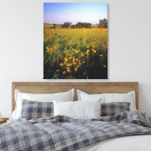 Black eyed Susans in tallgrasprairie bij Neil Canvas Afdruk (Insitu (Slaapkamer))