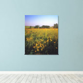 Black eyed Susans in tallgrasprairie bij Neil Canvas Afdruk (Insitu (Houten vloer))