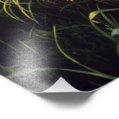 Black eyed Susans in tallgrasprairie bij Neil Foto Afdruk (Hoek)