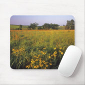 Black eyed Susans in tallgrasprairie bij Neil Muismat (Met muis)