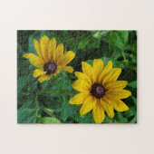Black-Eyed Susans Legpuzzel (Horizontaal)