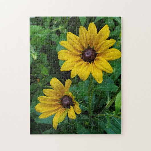 Black-Eyed Susans Legpuzzel (Verticaal)