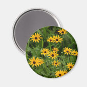 Black-Eyed Susans magnet (Voorkant / Achterkant)