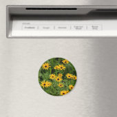 Black-Eyed Susans magnet (Insitu (Vaatwasser))