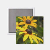 Black Eyed Susans Magnet (Voorkant / Achterkant)