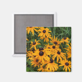 Black Eyed Susans Magnet (Voorkant / Achterkant)