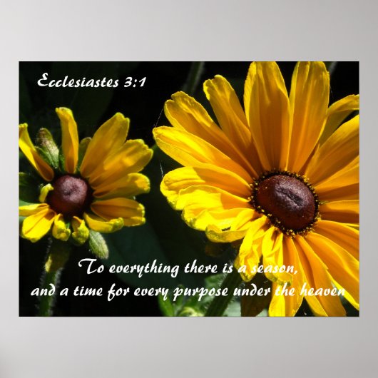 Black Eyed Susans met Bijbelvers Poster (Voorkant)