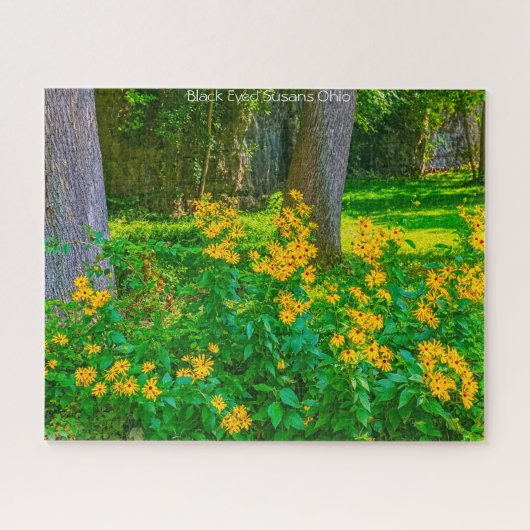 Black Eyed Susans Ohio. Jigzaag Puzzle Legpuzzel (Horizontaal)
