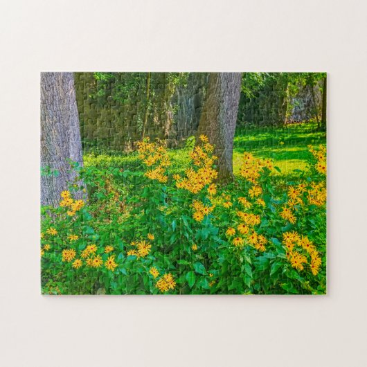 Black Eyed Susans Ohio. Legpuzzel (Horizontaal)