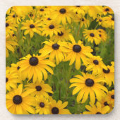 Black Eyed Susans Onderzetter Set (Voorkant)