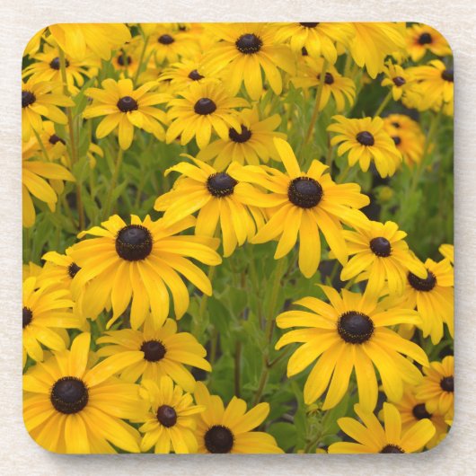Black Eyed Susans Onderzetter Set (Voorkant)