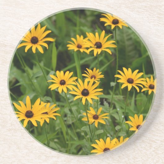 Black-Eyed Susans onderzetters (Voorkant)